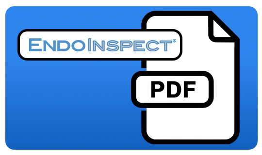 PDF icon with "EndoInspect" logo on blue background